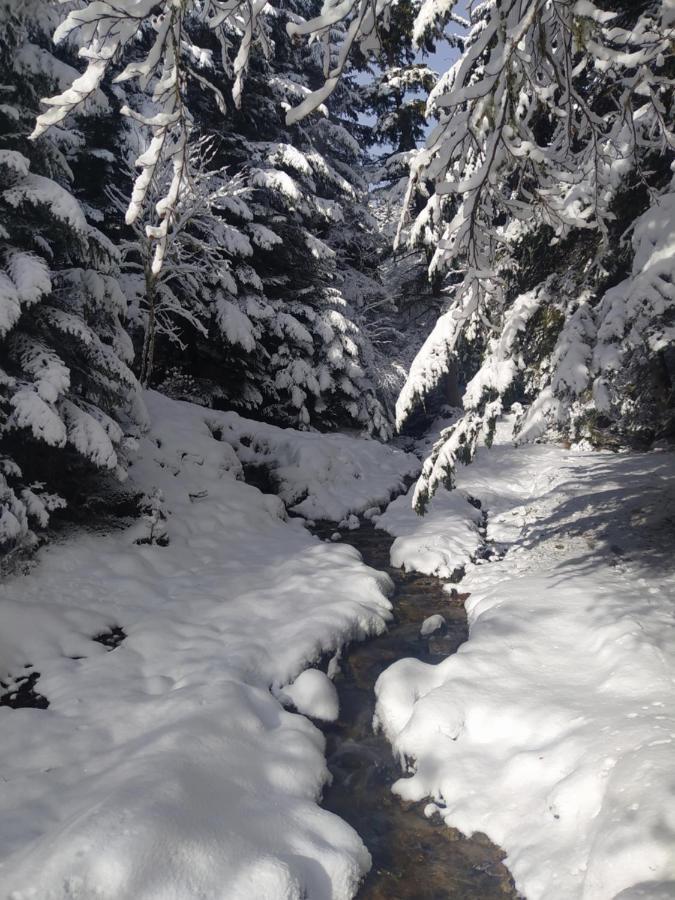 Studio 3 Personnes Au Pied Des Piste Plateau De Bonascre - Ax 3 Domaines Ete Hiver Ax-les-Thermes Extérieur photo